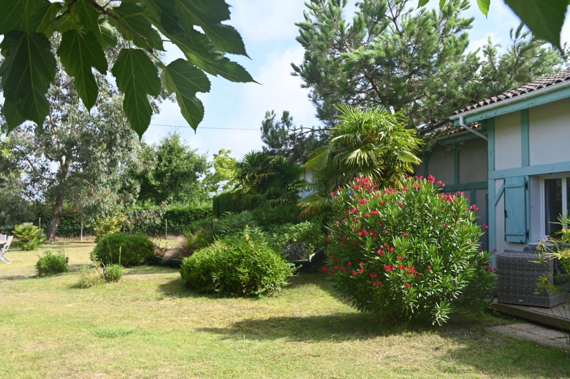 Le Mas Des Landes Vielle-Saint-Girons Exterior foto